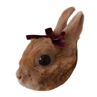 狐花てん