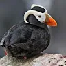 まるさんのアイコン