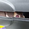 たけぞさんのアイコン