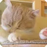 アルさんのアイコン