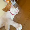 まころんさんのアイコン