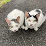 ゆうたんさんのアイコン