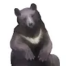 森のくま３さんのアイコン