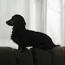 ちゃんちゃんさんのアイコン