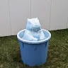 すーぱーもちさんのアイコン