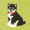 犬林クロさんのアイコン