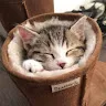 忍さんのアイコン