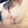 名前未登録さんのアイコン