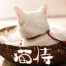 猫やなぎさんのアイコン