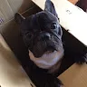 ゆ〜じ〜さんのアイコン