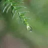 水平線さんのアイコン