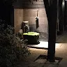 ルチアーノゆるふわ配信さんのアイコン