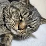 かなめさんのアイコン
