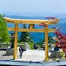 こーたさんのアイコン