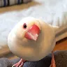名前未登録さんのアイコン