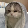 春さんのアイコン