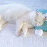名前未登録KZ takaさんのアイコン