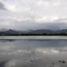 白樺さんのアイコン