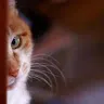 uuyさんのアイコン