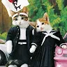 まっとしさんのアイコン