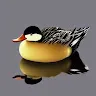 名前未登録さんのアイコン