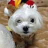うめちゃんさんのアイコン