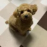 おてもんさんのアイコン