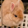 名前未登録さんのアイコン