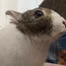 はるそらさんのアイコン