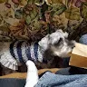 ユウスケさんのアイコン