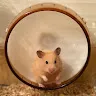 名前未登録さんのアイコン