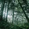 Hivikiさんのアイコン