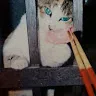 ねこつなさんのアイコン