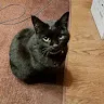 WasaBさんのアイコン