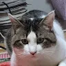 SAMAELUさんのアイコン