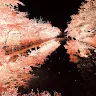 碧宮翡翠さんのアイコン