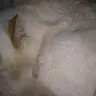 ぐいんさんのアイコン