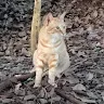ゆうさ古いさんのアイコン