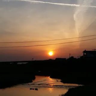 なつぼうしさんのアイコン