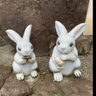 雪音さんのアイコン