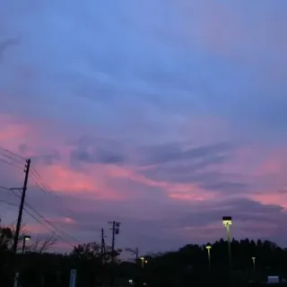 せんさんのアイコン