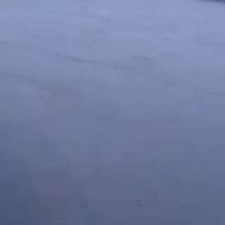 流れ草さんのアイコン
