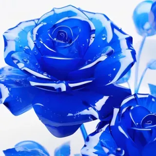 青の薔薇の人🥀☠️さんのアイコン