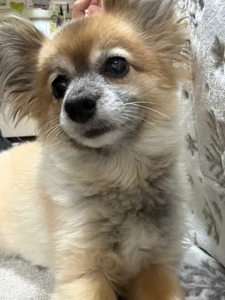 あおちゃんさんさんのアイコン