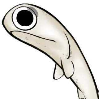 じょこさんのアイコン