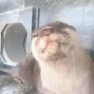 海雛さんのアイコン