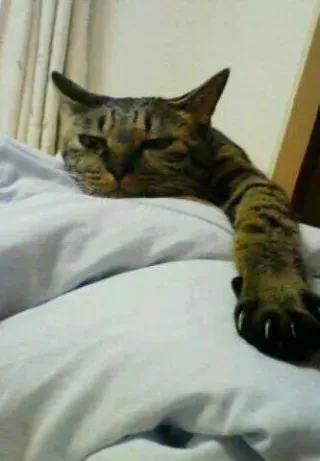 カズボウさんのアイコン
