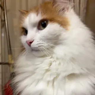 メーカさんのアイコン