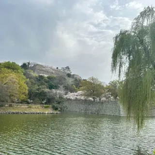 おちゃさんのアイコン