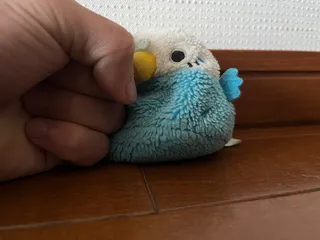 ろびあるさんのアイコン